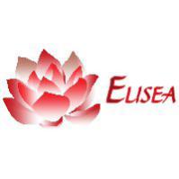 Association ELISEA (Association d'Entraide des Patients de la Chirurgie de l'Obésité sur Besançon et ses environs)